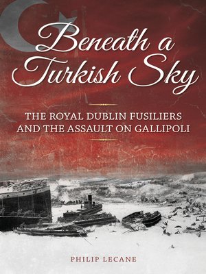 cover image of Beneath a Turkish Sky